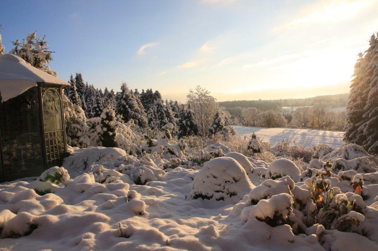 Вилла Ferienhaus Sonne, Harz Und Sterne Хоегайс Экстерьер фото